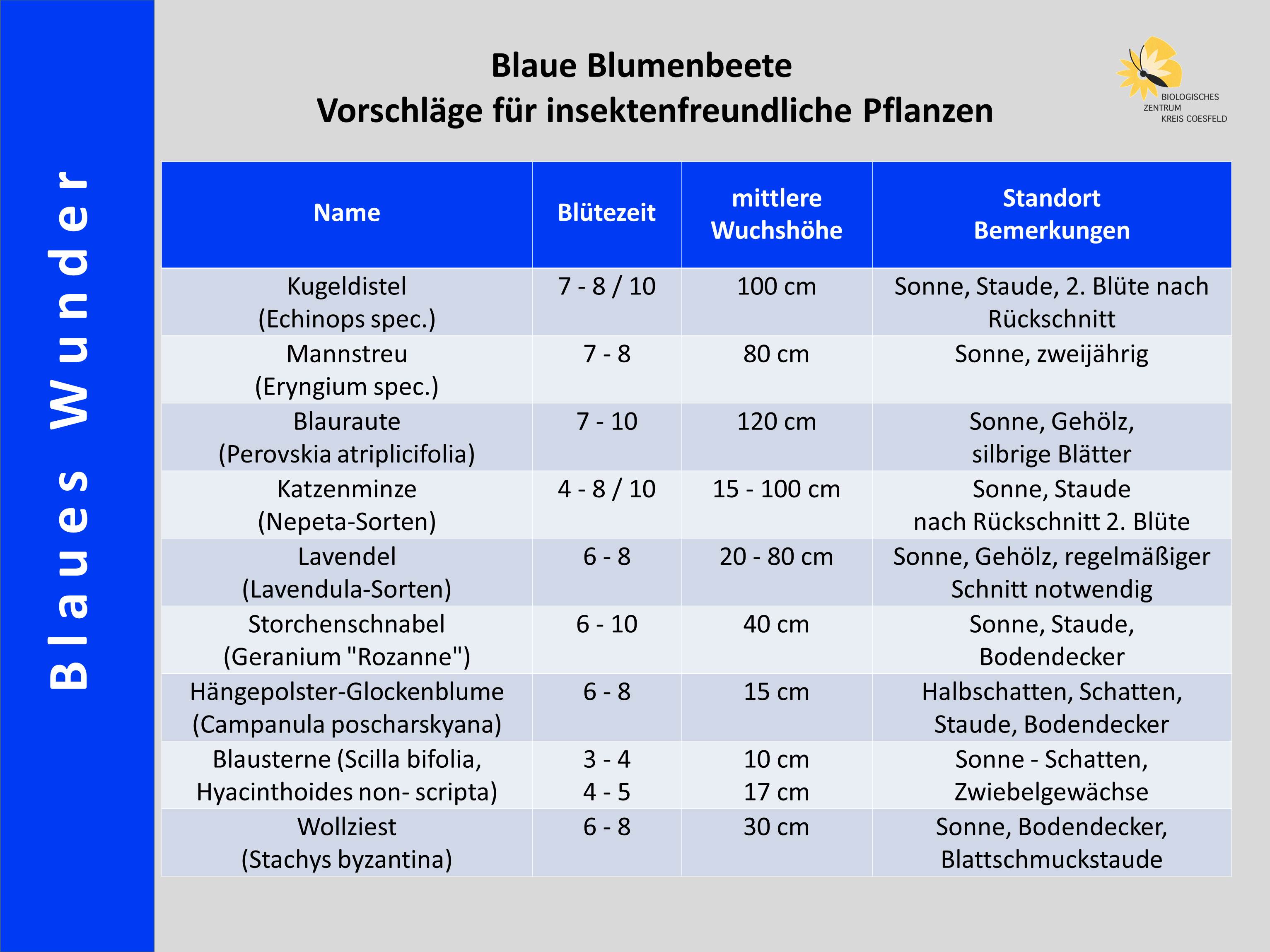 Blaues Wunder - Vorschläge für blau blühende insektenfreundliche Pflanzen