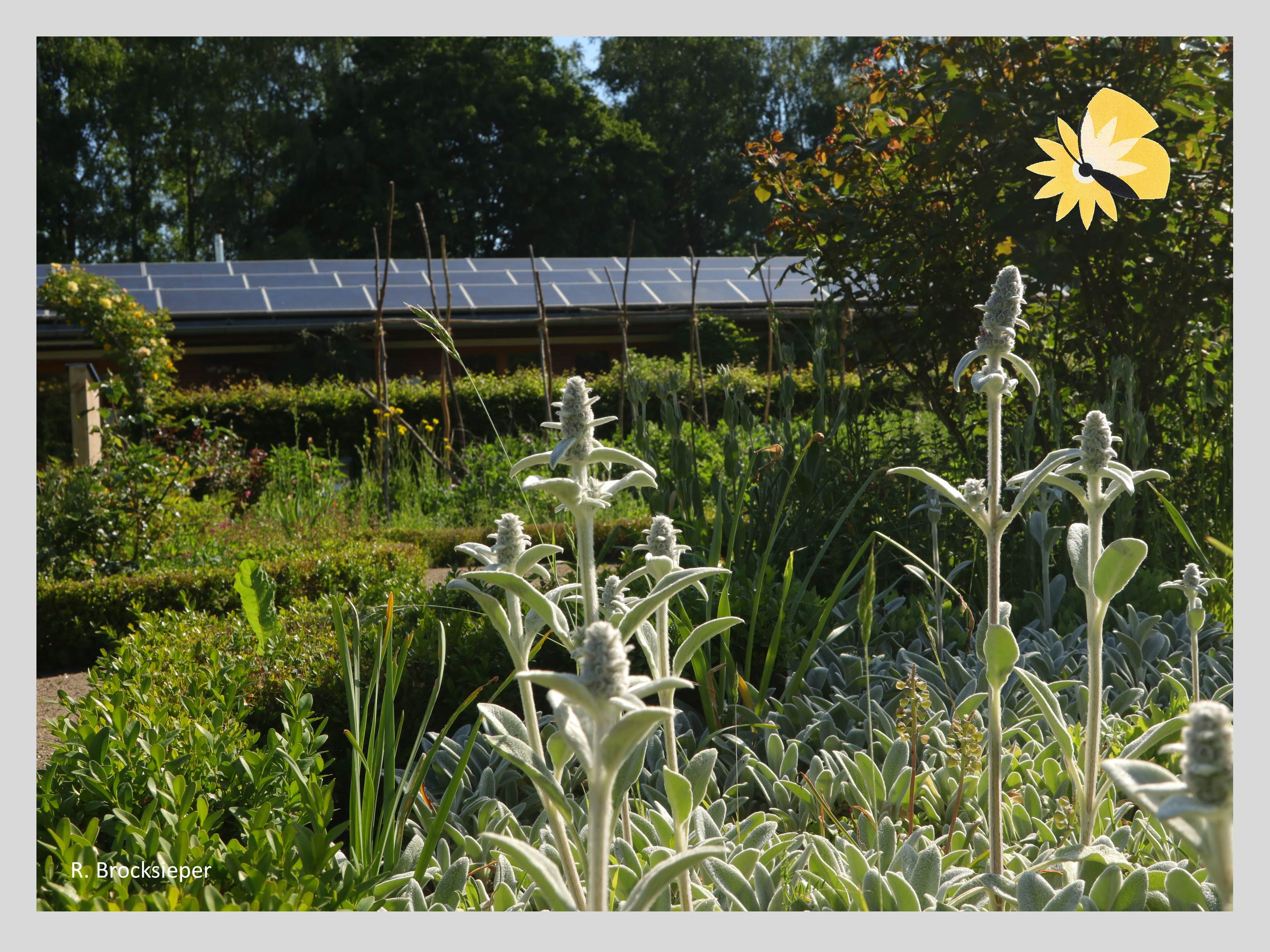 Bauerngarten im Biologischen Zentrum 