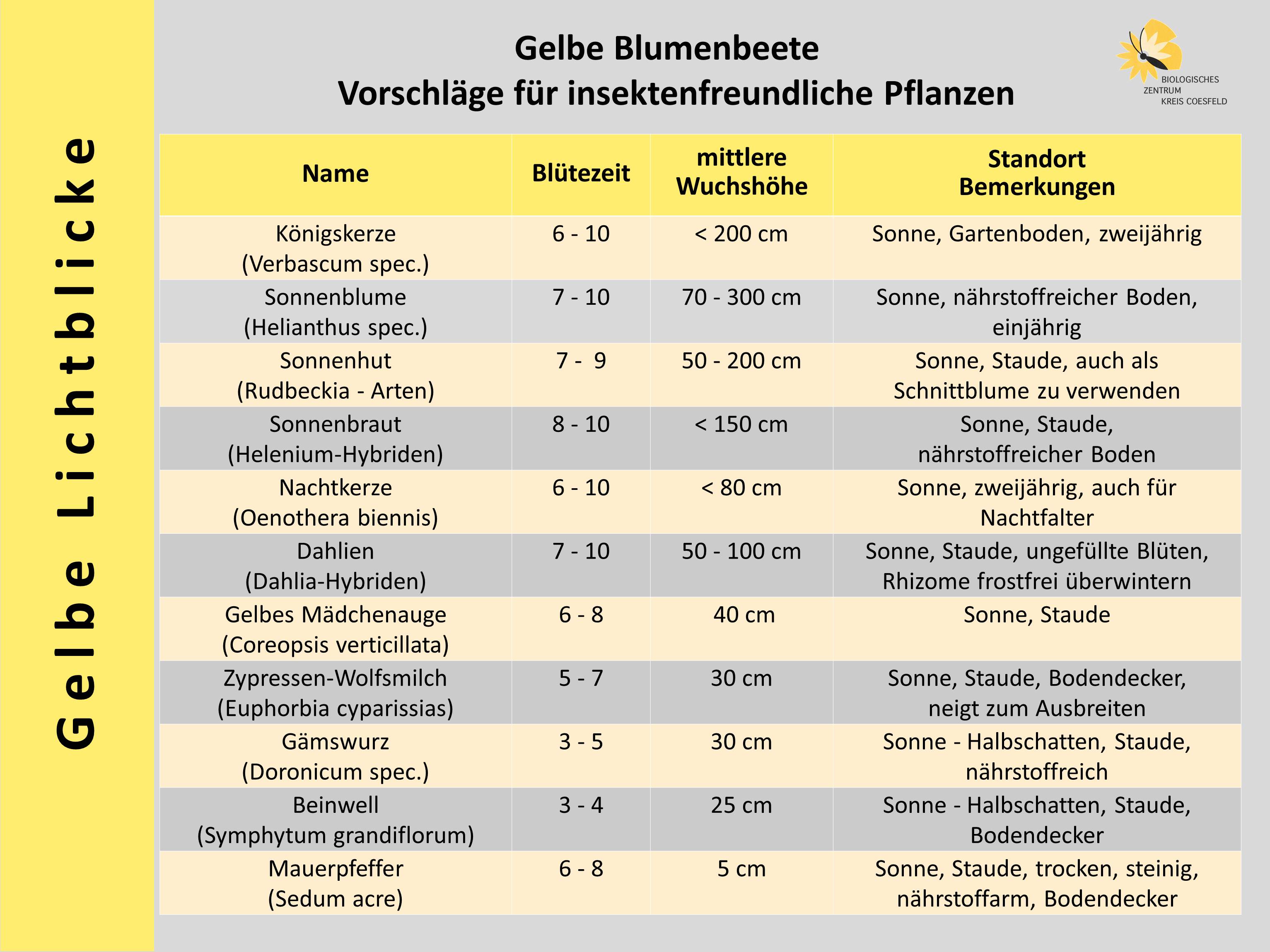 Gelbe Lichtblicke - Vorschläge für gelb blühende insektenfreundliche Pflanzen