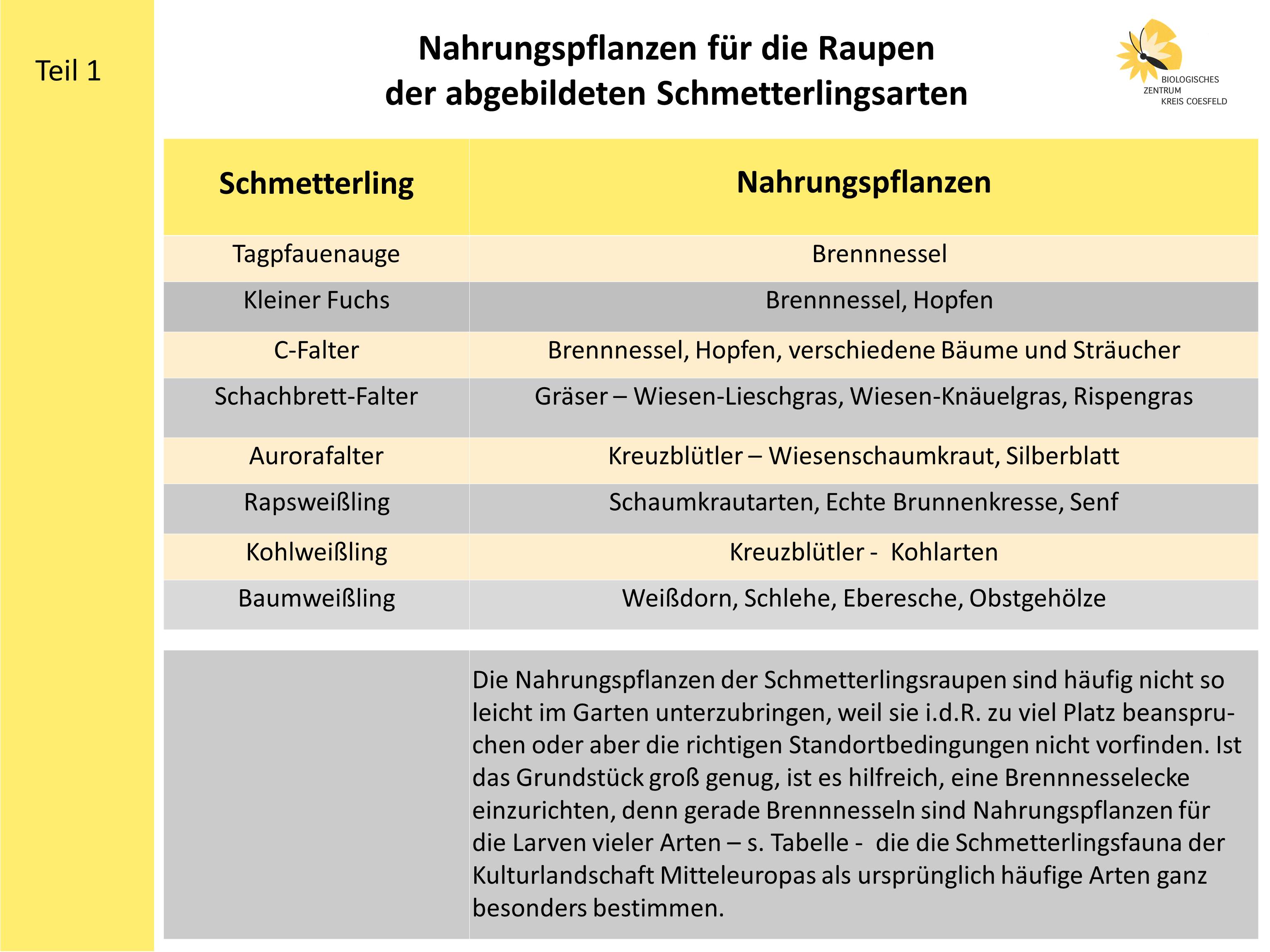 Nahrungspflanzen für Raupen der abgebildeten Schmetterlingsarten, Teil 1