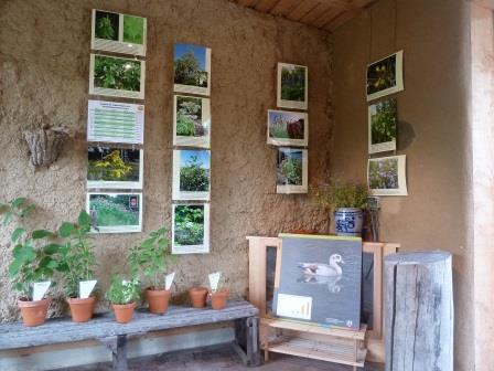 Ausstellung Natur im Wandel